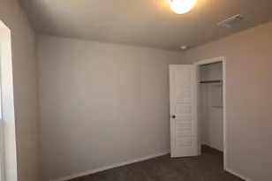 118 Big Banyan Dr, Dripping Springs, TX 78620 - Photo 11