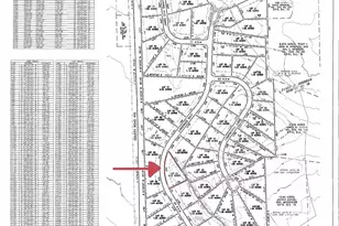 Lot 51 Landings Way, Spicewood, TX 78669 - Photo 31