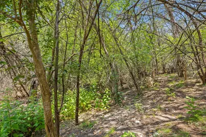 1810 Miami Drive, Austin, TX 78733 - Photo 5