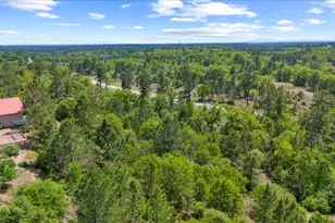 178 Pine Tree Loop, Bastrop, TX 78602 - Photo 35