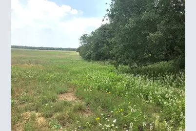 1672 Tract 1 Sayers Road, Bastrop, TX 78602 - Photo 5