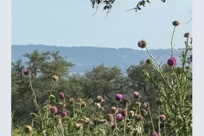 2502 Ranch Road 1323, Johnson City, TX 78636 - Photo 1