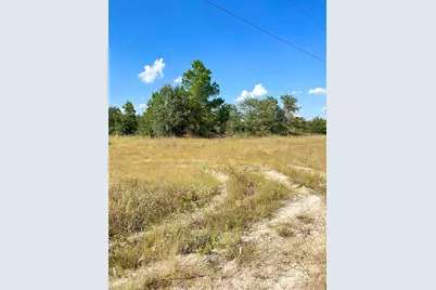 Tbd Ponderosa Loop, Paige, TX 78659 - Photo 15