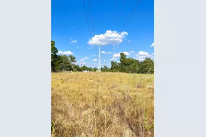 Tbd Ponderosa Loop, Paige, TX 78659 - Photo 13