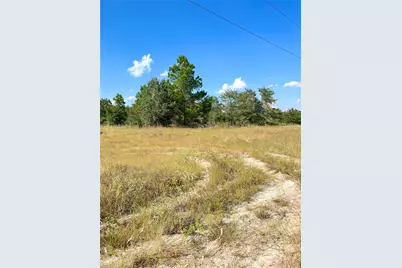 Tbd Ponderosa Loop, Paige, TX 78659 - Photo 15