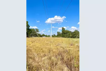 Tbd Ponderosa Loop, Paige, TX 78659 - Photo 13