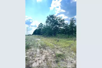 Tbd Ponderosa Loop, Paige, TX 78659 - Photo 3