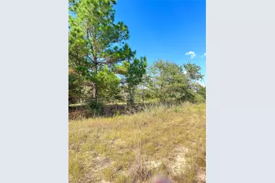Tbd Ponderosa Loop, Paige, TX 78659 - Photo 9