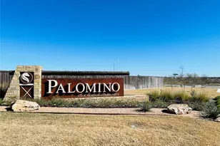 18508-A High Flyer Way, Manor, TX 78653 - Photo 29