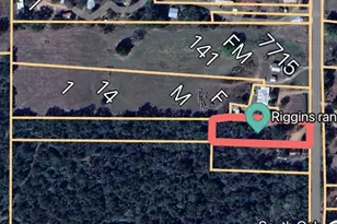 7695 Fm 141, Dime Box, TX 77853 - Photo 5