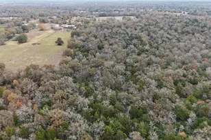 7695 Fm 141, Dime Box, TX 77853 - Photo 1