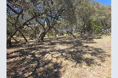 230 Bush Bok Drive, Burnet, TX 78611 - Photo 3