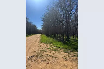 Lots 499 and 500 Kaaawa Lane, Bastrop, TX 78602 - Photo 1