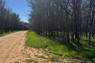Lots 499 and 500 Kaaawa Ln, Bastrop, TX 78602 - Photo 1