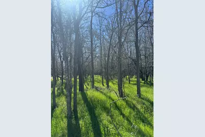 Lots 499 and 500 Kaaawa Lane, Bastrop, TX 78602 - Photo 3