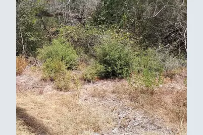 26642 Red Oak Drive, Hempstead, TX 77445 - Photo 3