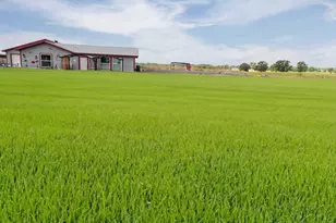 142 Zimmerhanzel Rd, Flatonia, TX 78941 - Photo 3