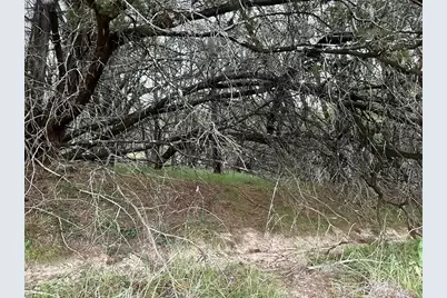 21402 Highland Lake Drive, Lago Vista, TX 78645 - Photo 3