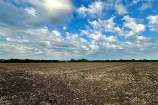 Lot 7 Cr 320, Granger, TX 76530 - Photo 1