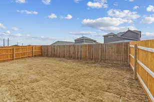 338 Bridge Deck Loop, Kyle, TX 78640 - Photo 19