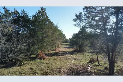 Tbd Lot 19 Kovar Road, Smithville, TX 78957 - Photo 5