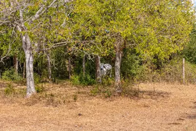 1901 E State Highway 21 #B, Paige, TX 78659 - Photo 39