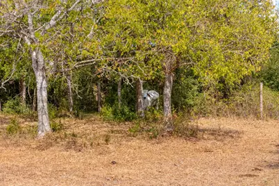 1901 E State Highway 21 #B, Paige, TX 78659 - Photo 39