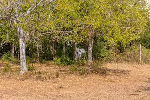 1901 E State Hwy 21, Paige, TX 78659 - Photo 39