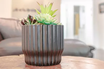 3604 Clawson Road #204, Austin, TX 78704 - Photo 15