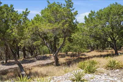 18005 Breakwater Drive, Jonestown, TX 78645 - Photo 9