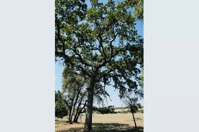 640 County Road 475 Road, Luling, TX 78648 - Photo 11