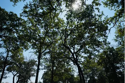 640 County Road 475 Road, Luling, TX 78648 - Photo 15