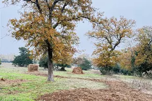 11791 Silver Springs Rd, Rockdale, TX 76567 - Photo 9