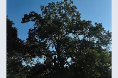 Tbd Lot 4 Randermann Road, Brenham, TX 77833 - Photo 7