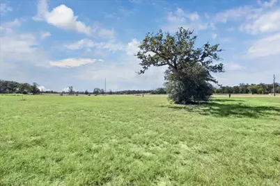 137 Waterbuck Way, Rosanky, TX 78953 - Photo 3