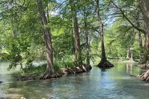 730 E Mather St, New Braunfels, TX 78130 - Photo 13