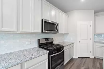 209 Golden Plains Parkway, Hutto, TX 78634 - Photo 17