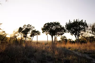 20801 Hamilton Pool Road, Austin, TX 78738 - Photo 15