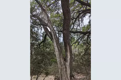73 E Valley Spring Road, Wimberley, TX 78676 - Photo 7