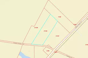 Tbd (Tract 5) Cr 119, Ledbetter, TX 78946 - Photo 7