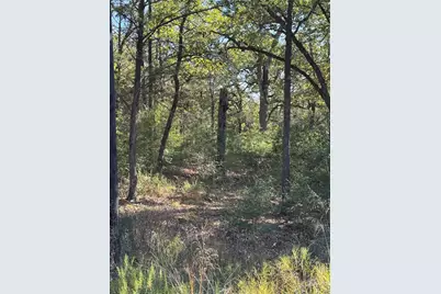 Lot 130 Wailupe Circle, Bastrop, TX 78602 - Photo 3