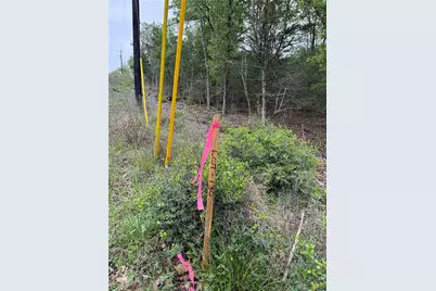 Lot 130 Wailupe Circle, Bastrop, TX 78602 - Photo 7