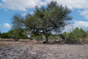 Tbd Burnet Oaks Lot 20 Dr, Burnet, TX 78611 - Photo 9