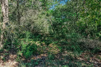 Tbd Chickasaw (0.11 Acres), Smithville, TX 78957 - Photo 23