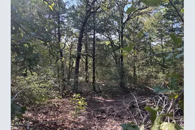 667 Paint Creek South Road, Paige, TX 78659 - Photo 3
