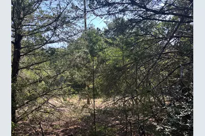 667 Paint Creek South Road, Paige, TX 78659 - Photo 17