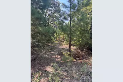 667 Paint Creek South Road, Paige, TX 78659 - Photo 1