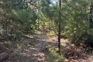 667 Paint Creek S Rd, Paige, TX 78659 - Photo 1