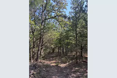 667 Paint Creek South Road, Paige, TX 78659 - Photo 11