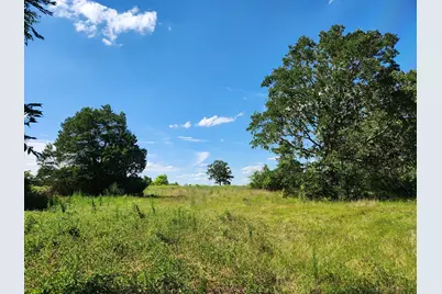Lot-1 Fm-2336, Bastrop, TX 78602 - Photo 3